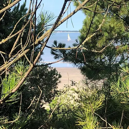 4 Pers Piscine Chauffee Proche Plages * Chenac Saint Seurin d'Uzet